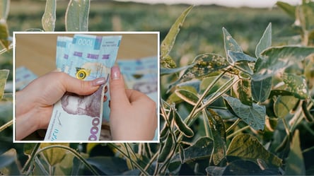 Ціни на експорт сої б'ють рекорди — що відбувається - 290x160