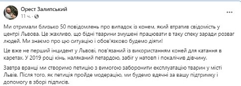 В центре Львова упал конь, который возит кареты — власть резко отреагировала - фото 2