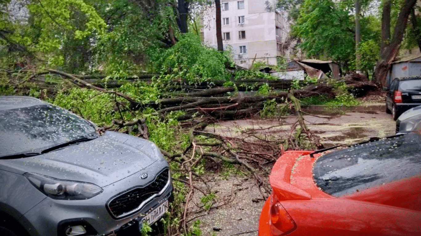 Деревопад та побиті автівки — в Одесі негода уже наробила біди - фото 3