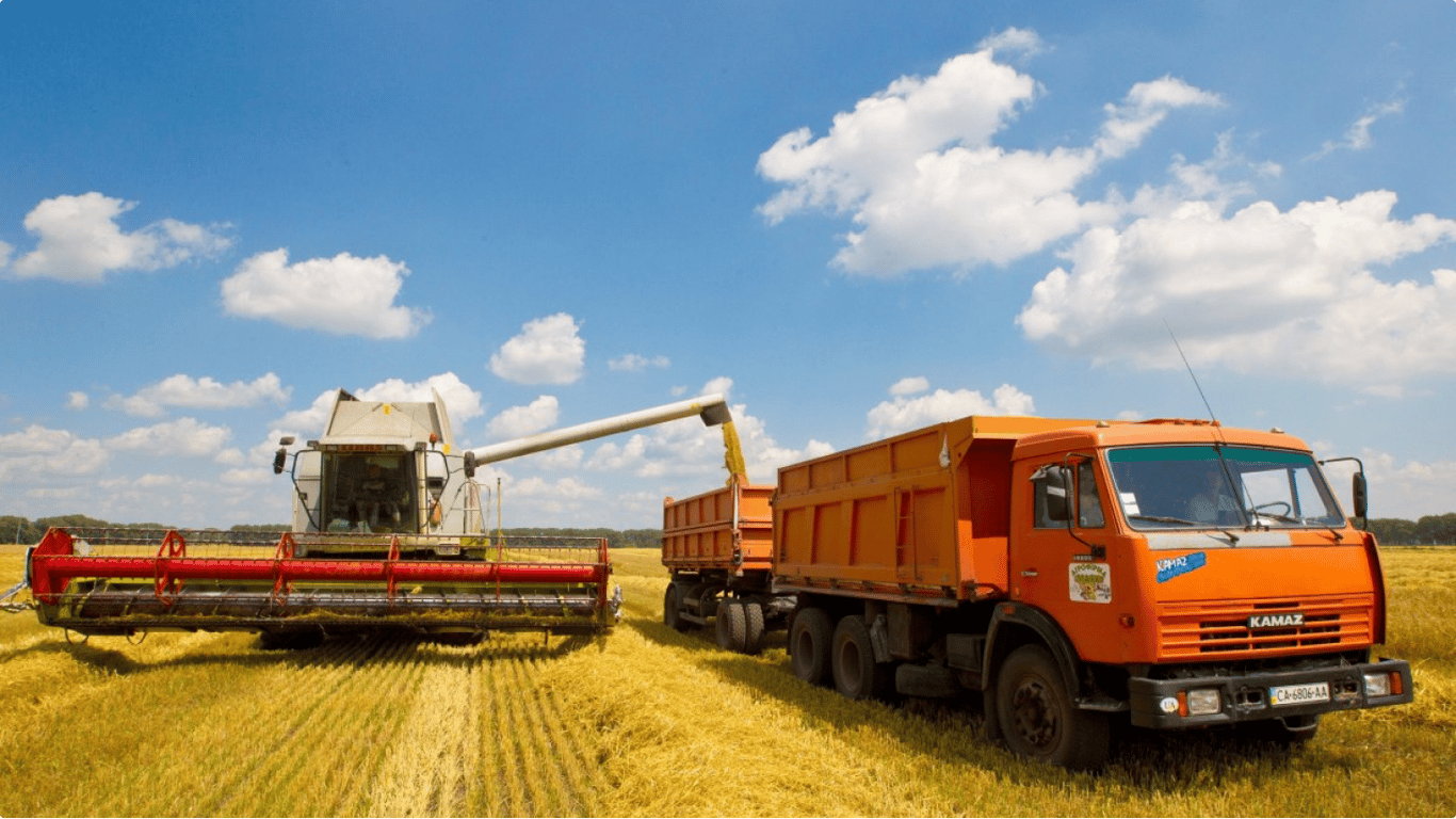 Ціни на ріпак в Україні: що зараз впливає на вартість