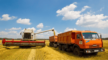 В Україні дорожчає ріпак: які причини і скільки коштує тонна - 285x160