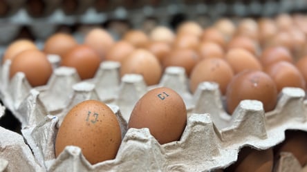 Бюджетні яйця можуть повернутися в супермаркети — що з цінами - 285x160