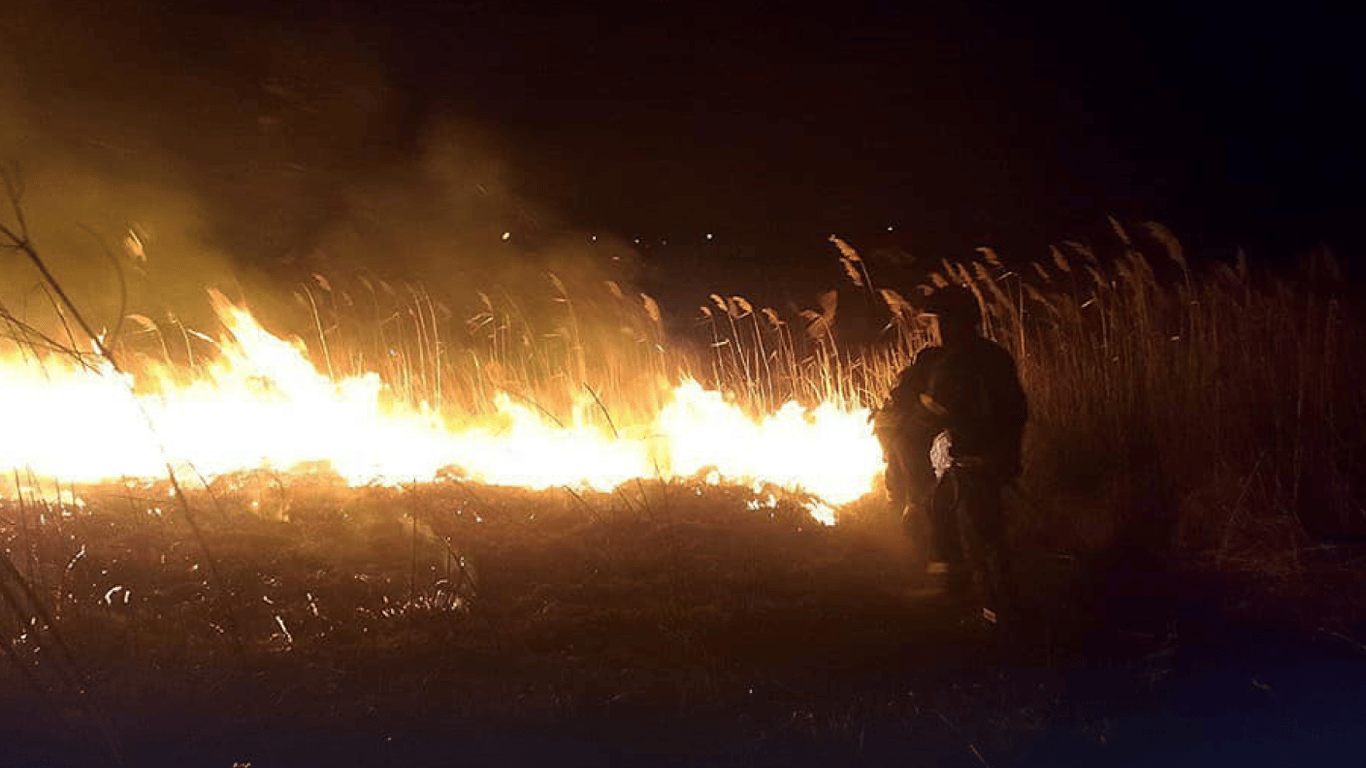 В Одесской области горели экосистемы