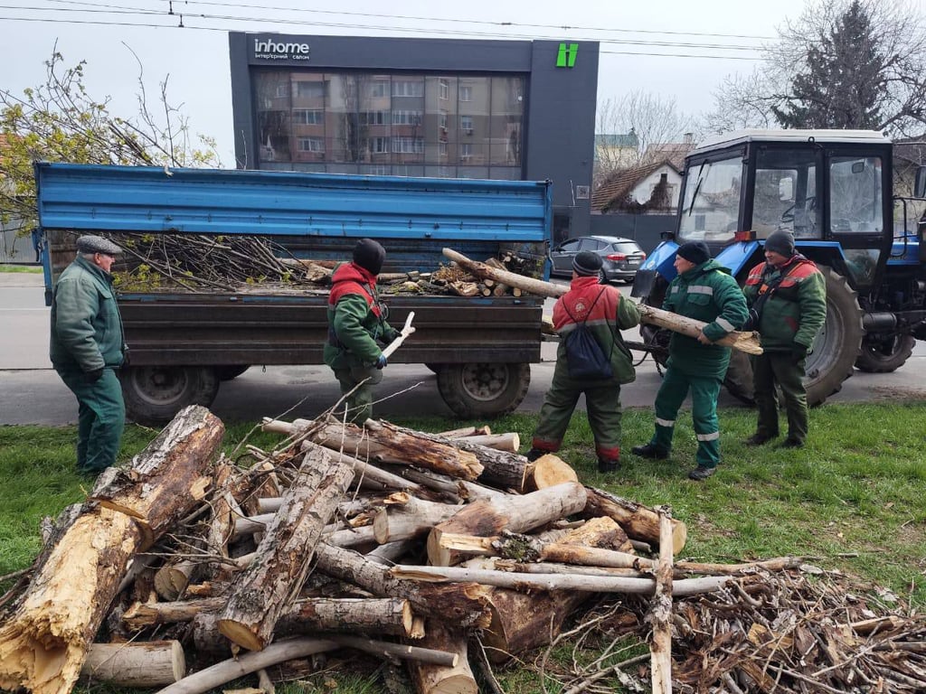 Повалені дерева та обірвані мережі — шторм наробив біди в Одесі - фото 1