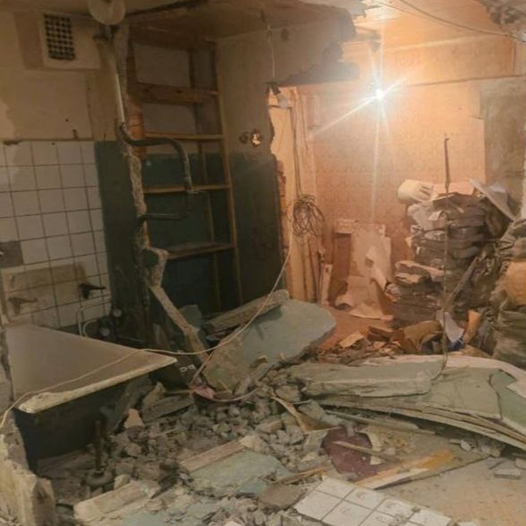 Лариса Доліна