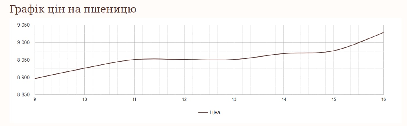 Цены на пшеницу и зерновые в Украине по состоянию на 17 января 2025 года