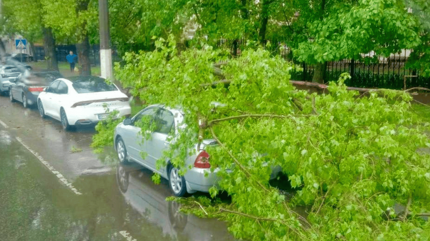 Деревопад та побиті автівки — в Одесі негода уже наробила біди - фото 5