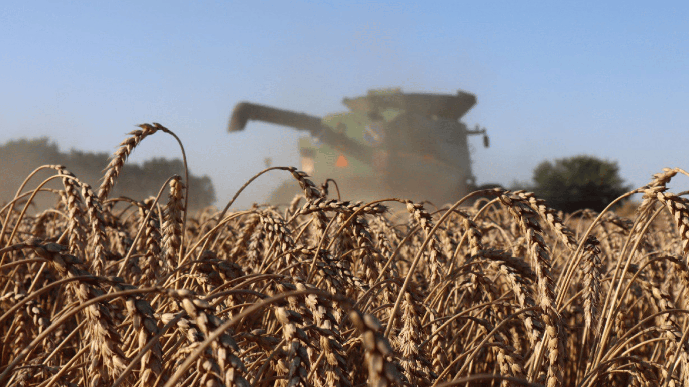 Цены на зерновые в Украине по состоянию на 22 января 2024 года