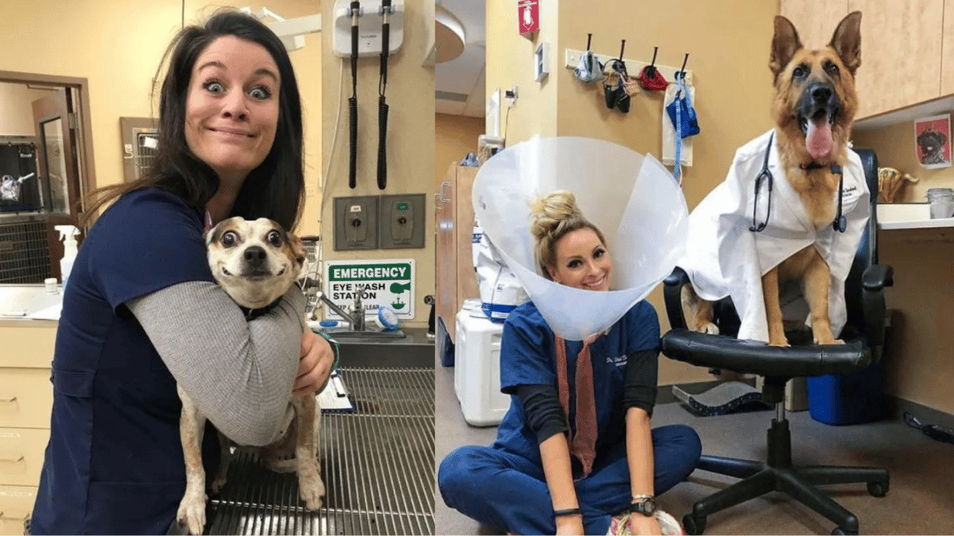 Животные у ветеринара — курьезные фото врачей и их пациентов, насмешившие сеть