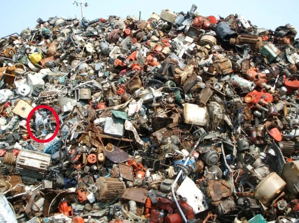 Только гении смогут увидеть кота на куче отходов бытовой техники - фото 2