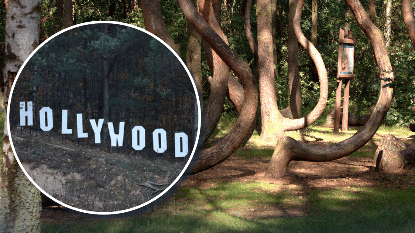 Від загадкових лісів до незвичних споруд: 9 місць Польщі, що дивують навіть місцевих (фото)