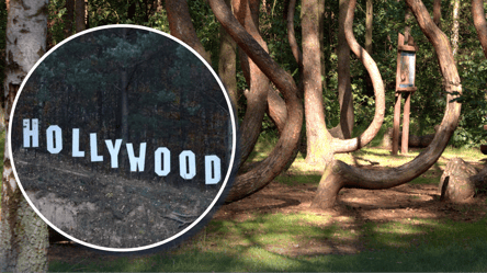 От компаса до "кривого леса": 9 самых странных мест Польши (фото) - 285x160