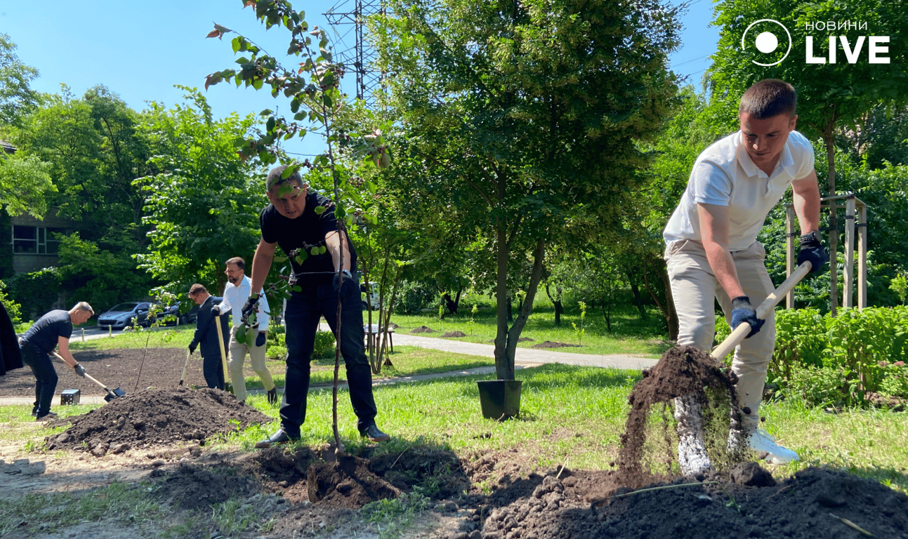Висадили сквер у Києві
