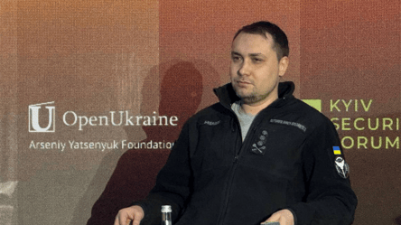 Буданов заявил, что выступает против свободной легализации оружия - 304x171