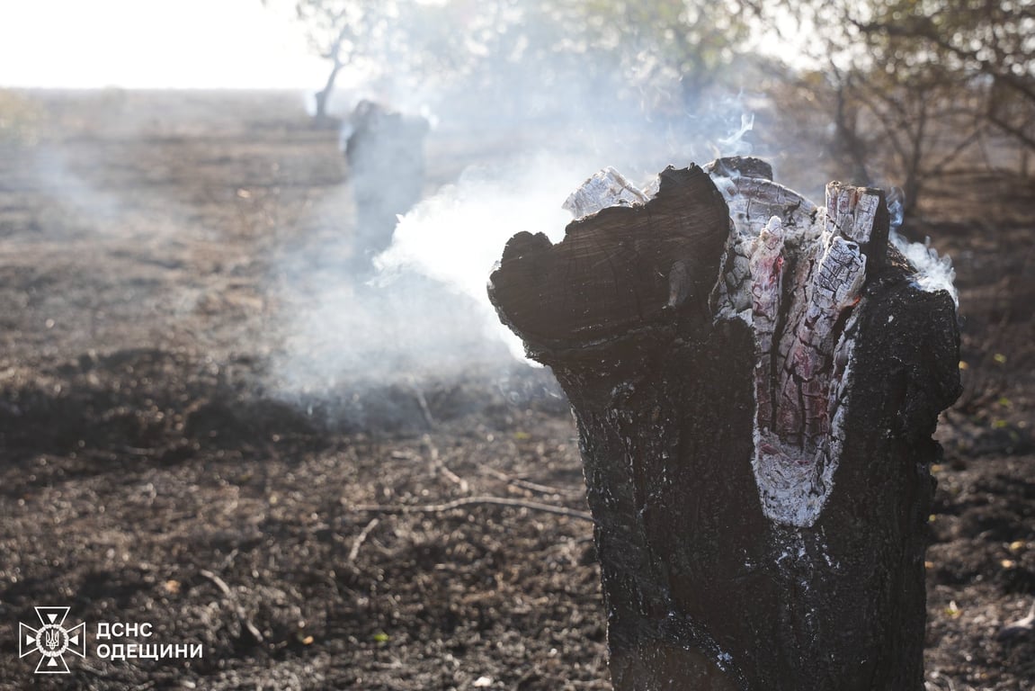 Пожежа під Одесою — згоріло 10 гектарів землі - фото 5