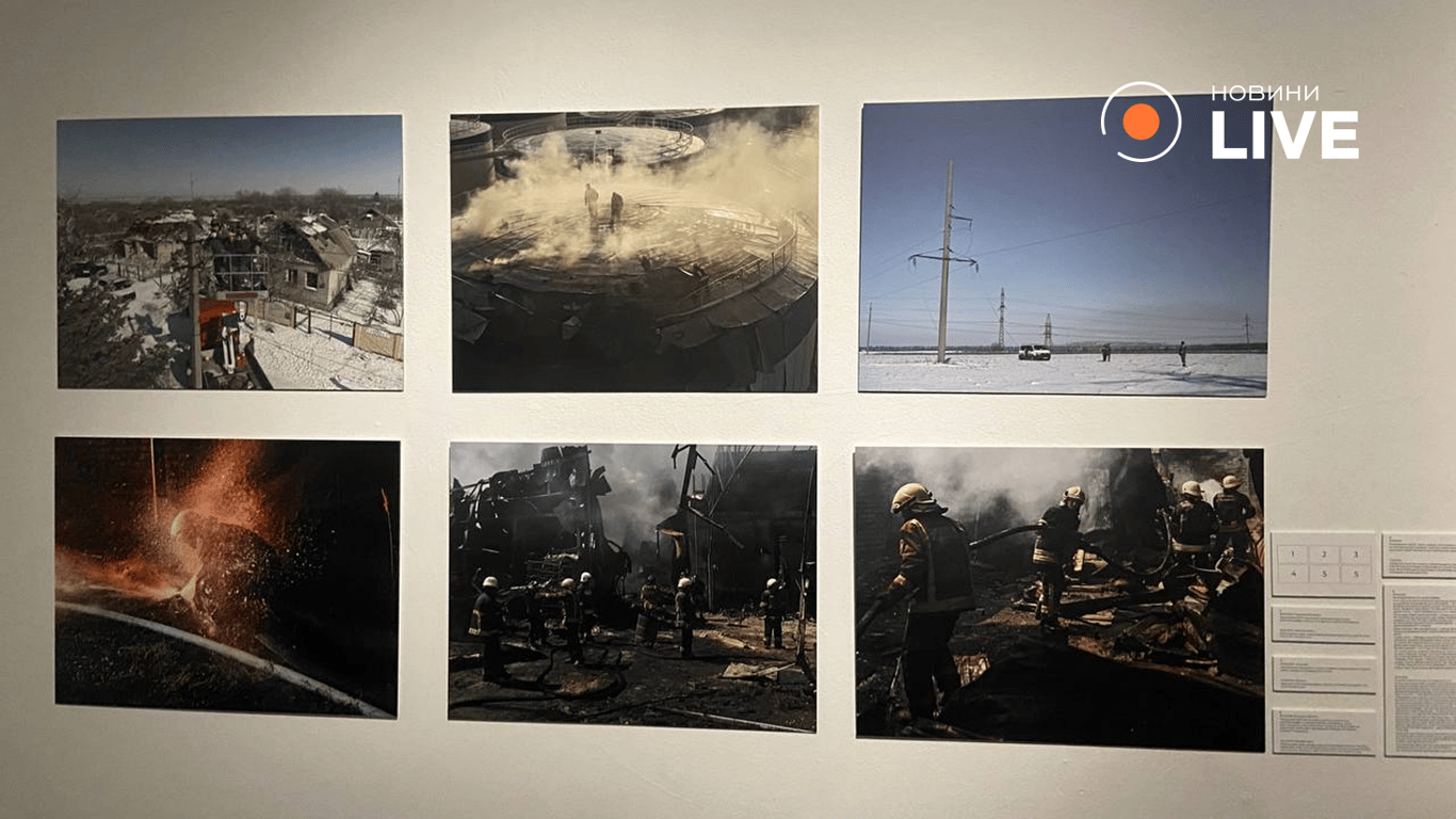 Виставка Ліберових і ДТЕК у Києві 