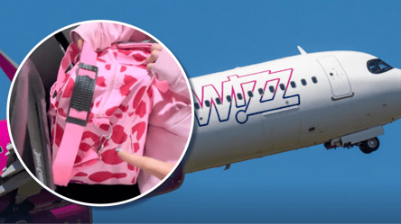 Одна из пассажирок пожаловалась на политику Wizz Air: что произошло - 285x160