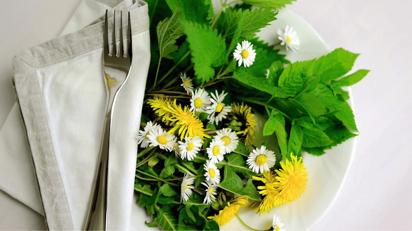 Салат из одуванчика и крапивы — лучший витаминный рецепт
