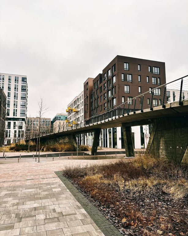 Уникальный мост с параметрическим дизайном: новый объект Киева