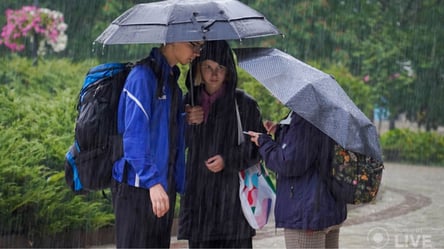 Народна синоптикиня Діденко розповіла, які області завтра заливатиме дощем - 285x160