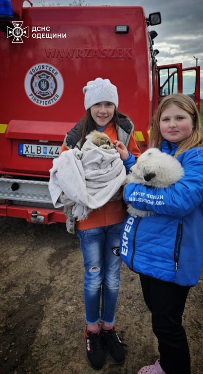 На Одещині врятували собаку з каналізаційної ями — фото - фото 2