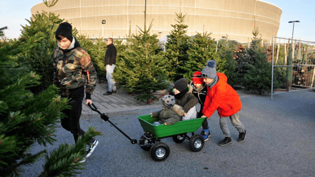 Різдвяний бюджет — скільки коштують ялинки в країнах Європи - 285x160