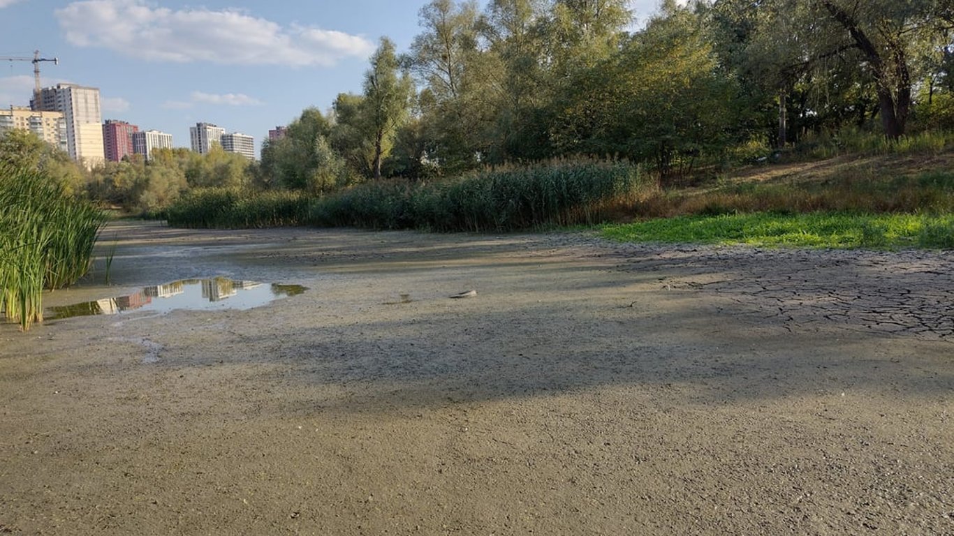 В Киеве восстановят обмелевшее озеро — кто профинансирует работы