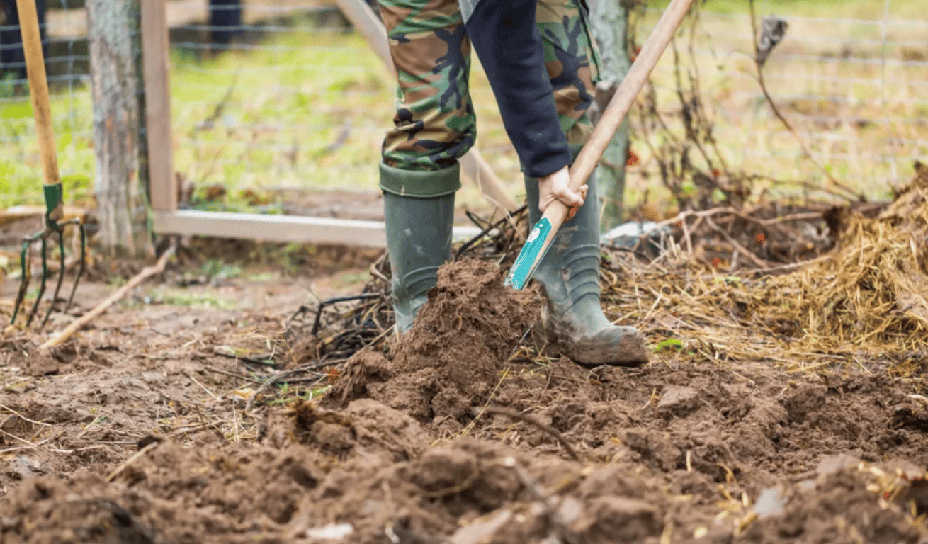 Дачник копає город.