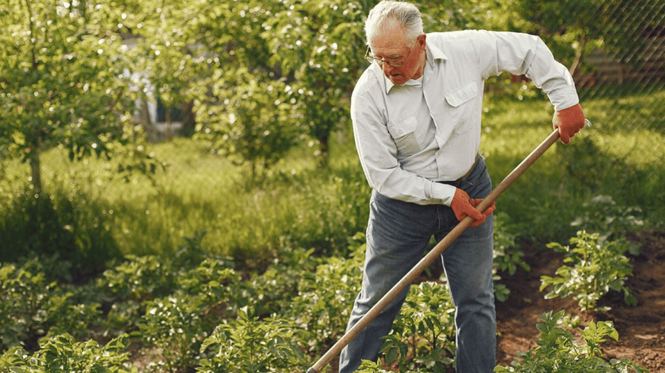 Дачник, який господарює у своєму городі.