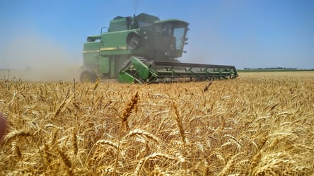 Цены на зерно в Украине: сколько стоит пшеница - 285x160