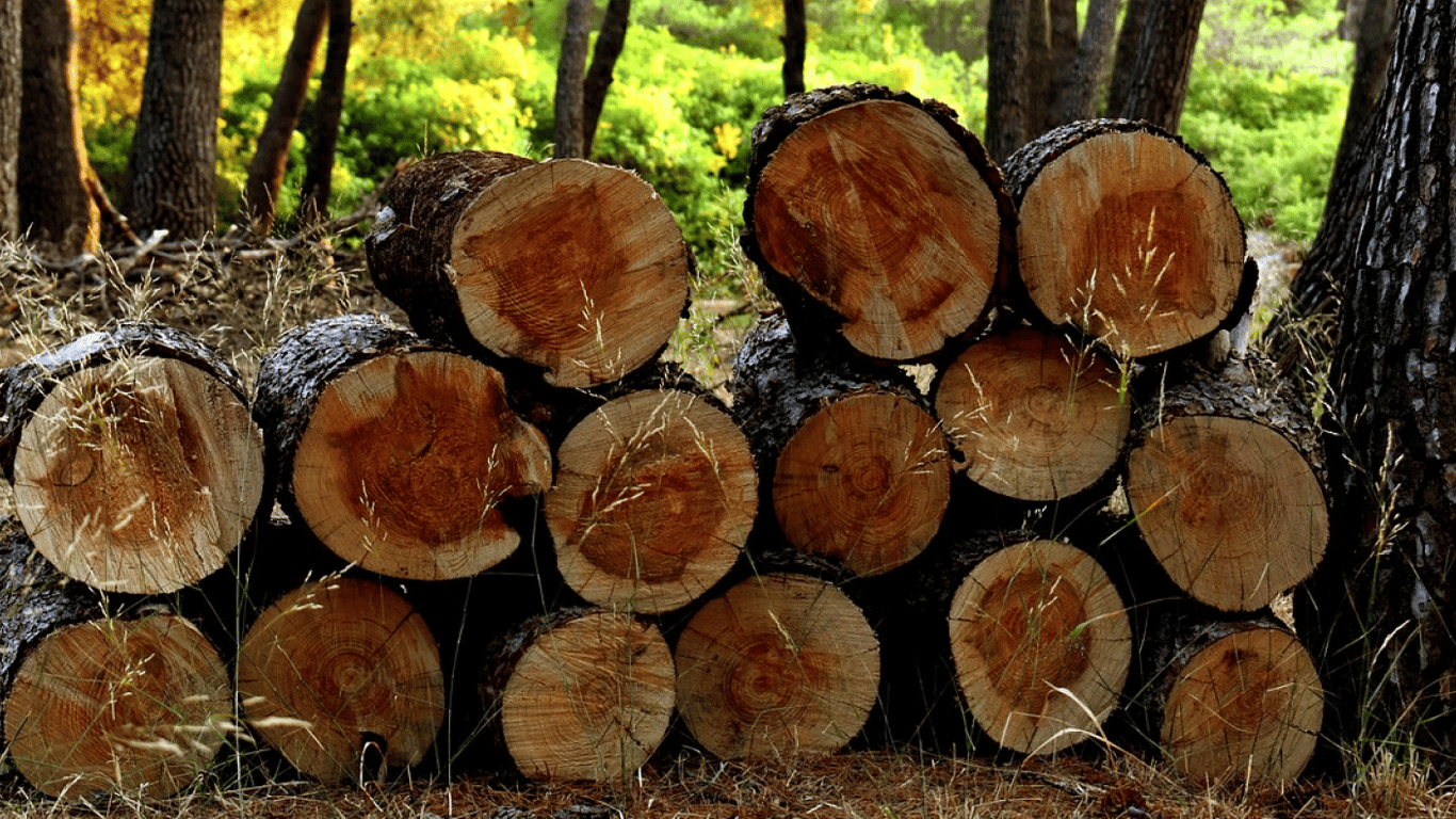 Кто в Одесской области может получить бесплатные дрова на отопление