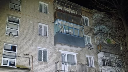 Россия обстреляла Никопольщину FPV-дронами и артиллерией — фото - 290x166