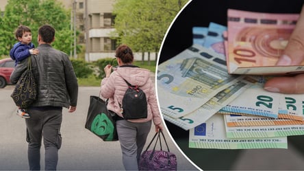 В одной из стран ЕС уменьшили помощь украинцам: что изменилось в 2026 году - 285x160