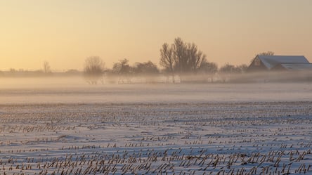 Собственная земля — сколько может приватизировать один человек в Украине - 285x160