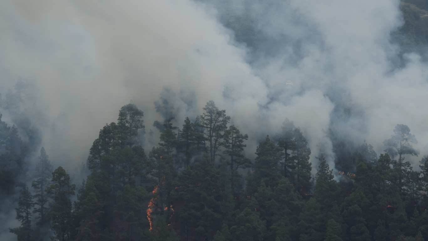 Лесные пожары в Средиземноморье: от огня погибли уже более 40 человек