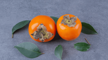 Вирощування хурми восени — посадка і правильний догляд - 285x160