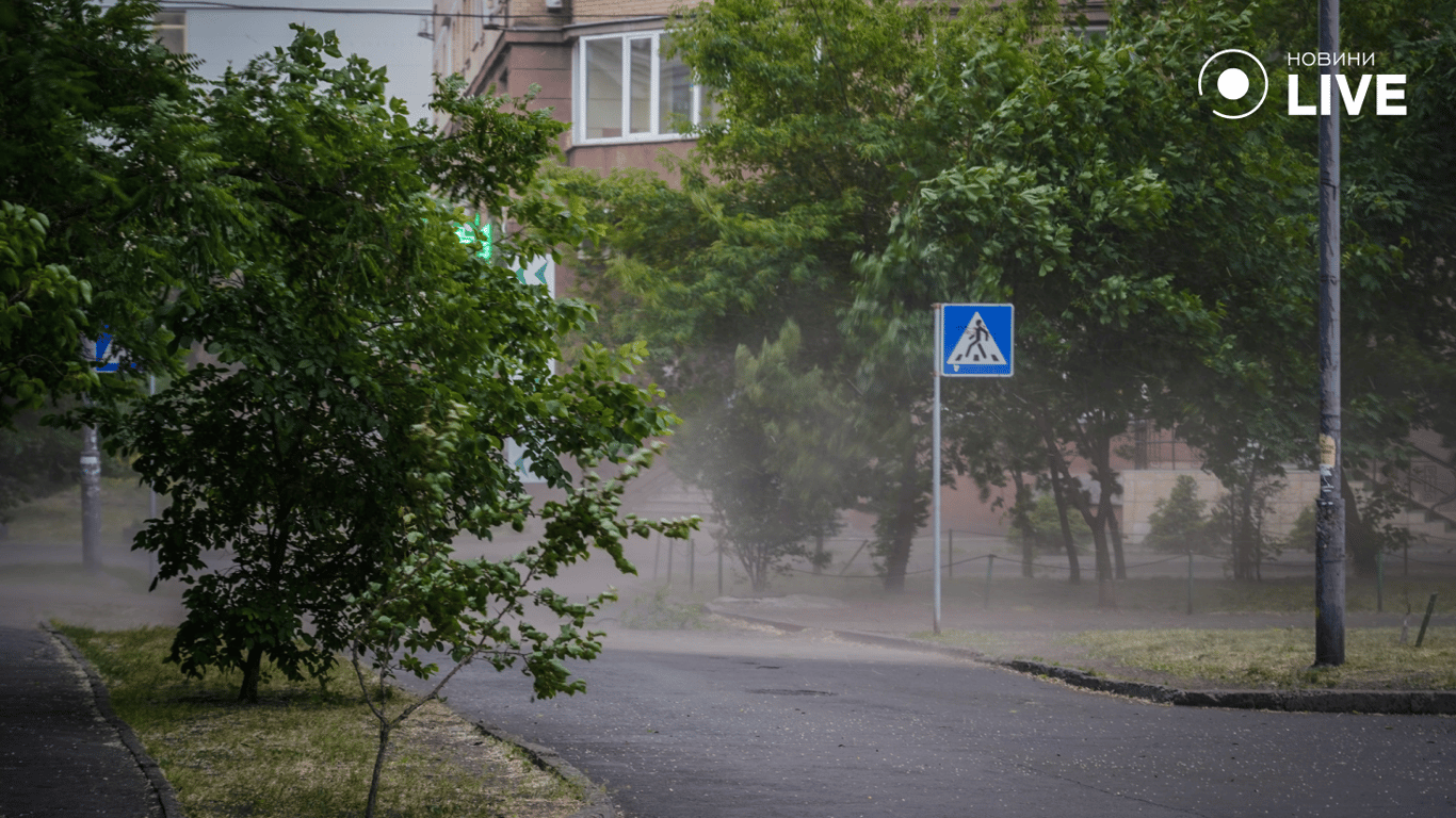 Дождь и солнце - погода в Одессе на завтра, 24 июня