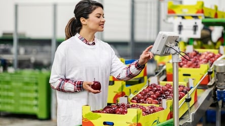 Зарплата від 1 400 євро — у супермаркетах в Італії потрібні пакувальники яблук - 285x160