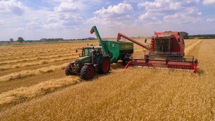 Собран первый миллион тонн зерна в Одесской области: какой район лидирует - 285x160