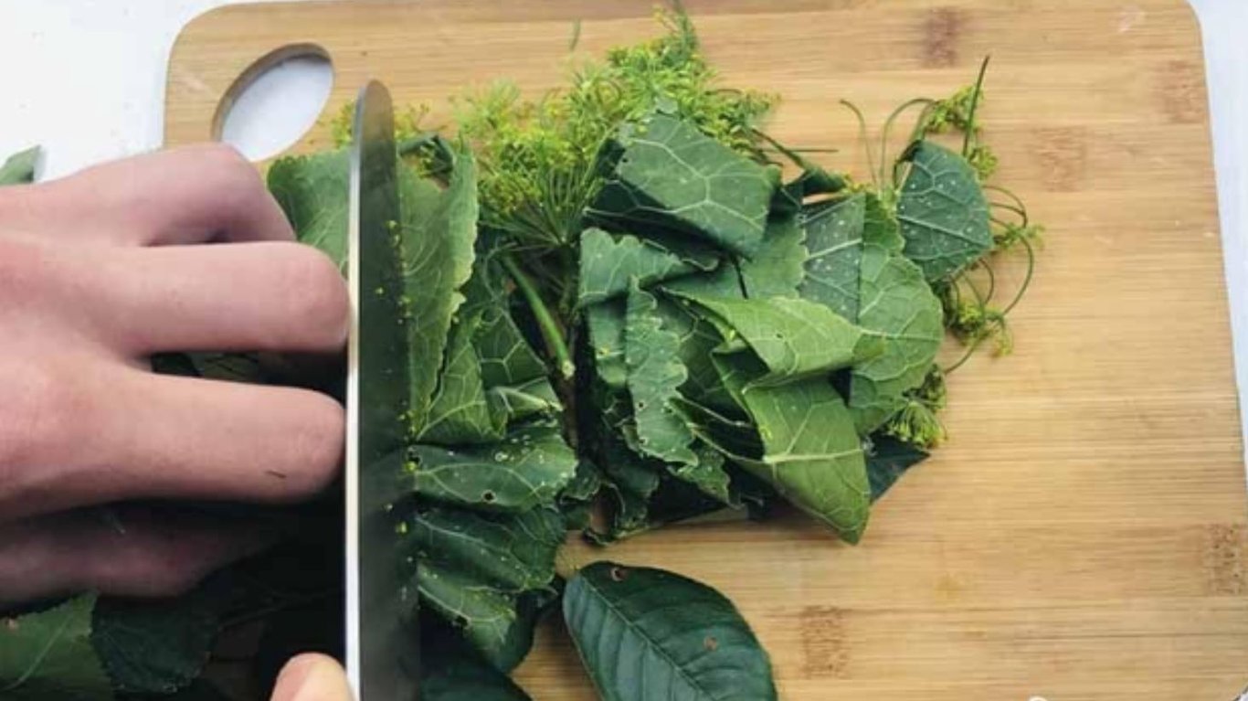 рецепт малосольних огірків від Клопотенка