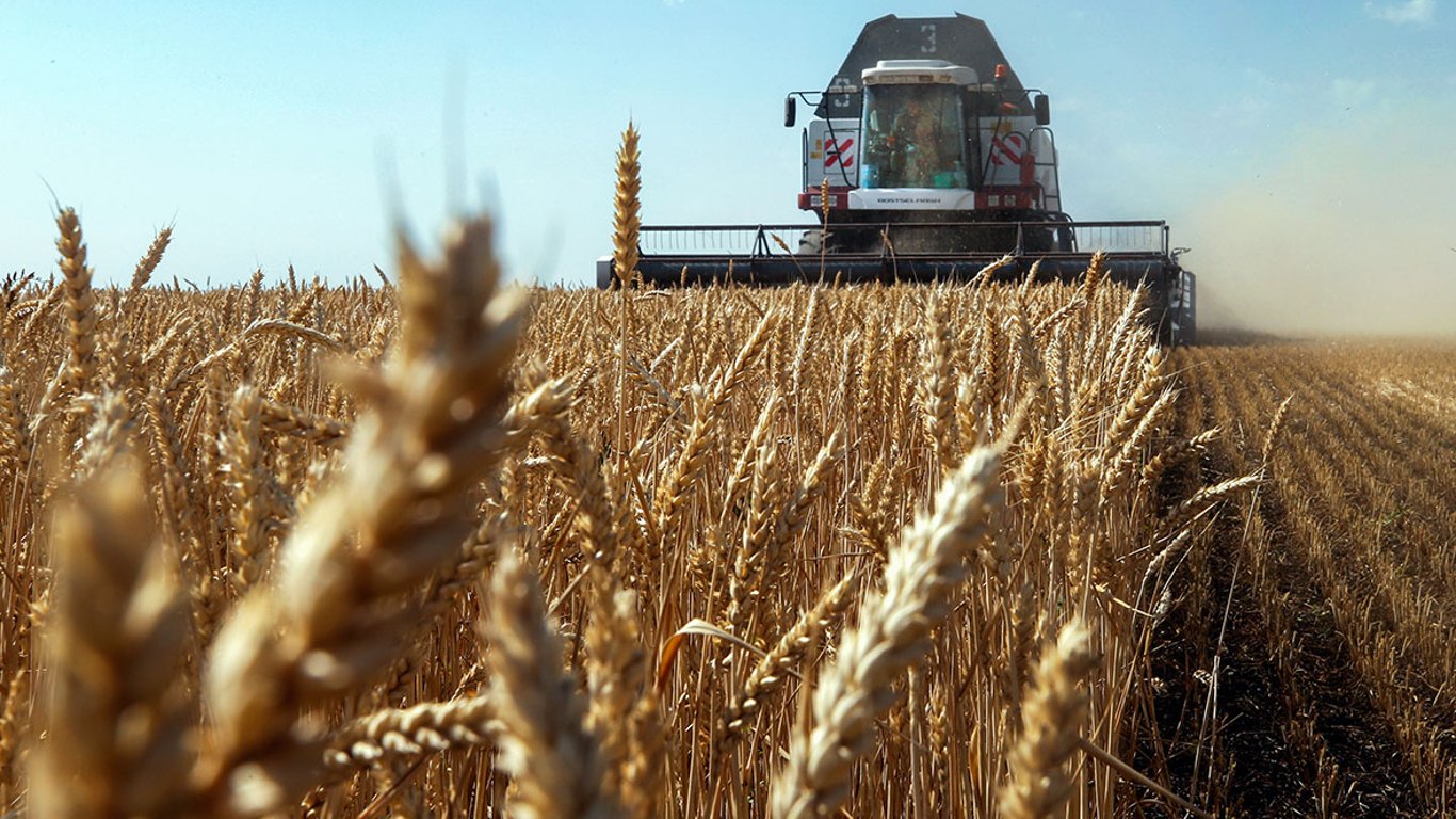 Цены на зерновые в Украине по состоянию на 3 ноября 2023 года