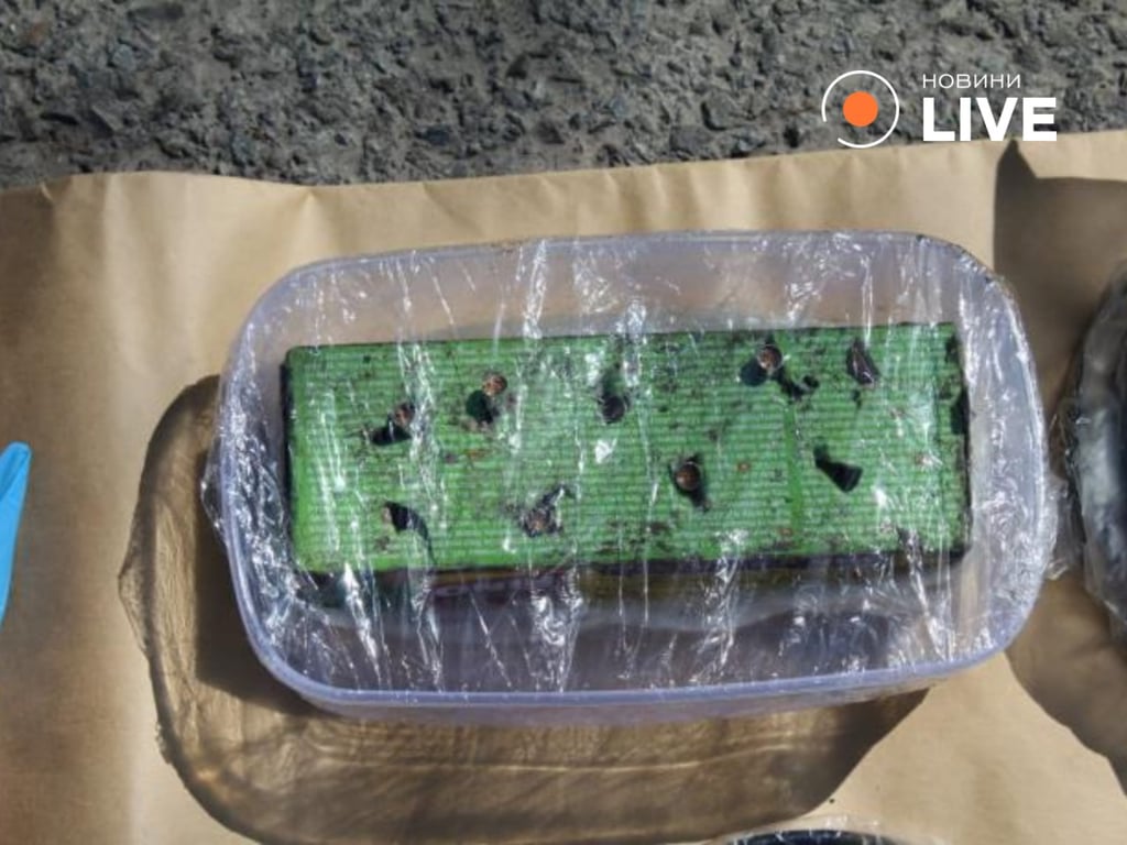 Спроба диверсії на газопроводах в Сербії