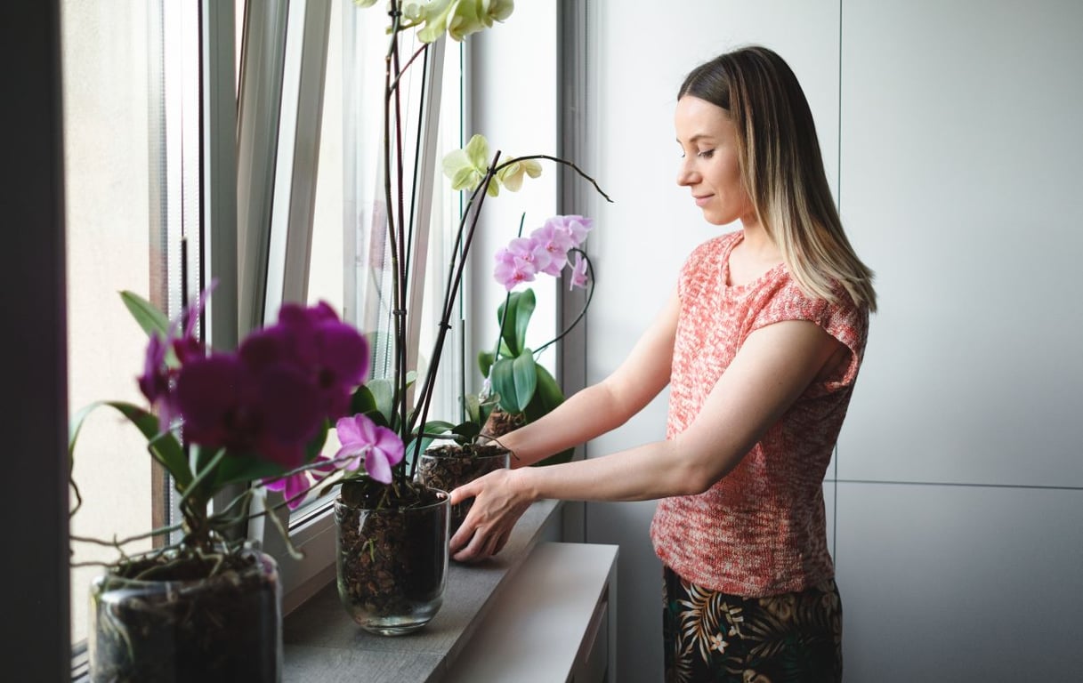 Уход за орхидеями