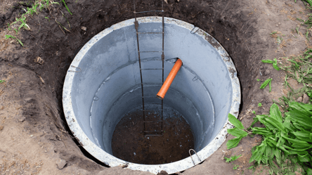 Природне очищення вигрібної ями — дерево, що замінить техніку - 285x160