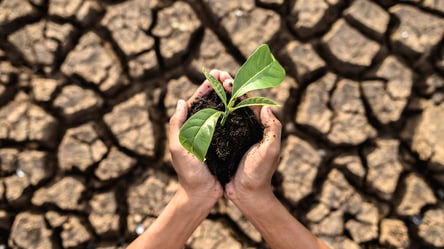 Как озон нагревает Землю — ученые бьют тревогу - 285x160