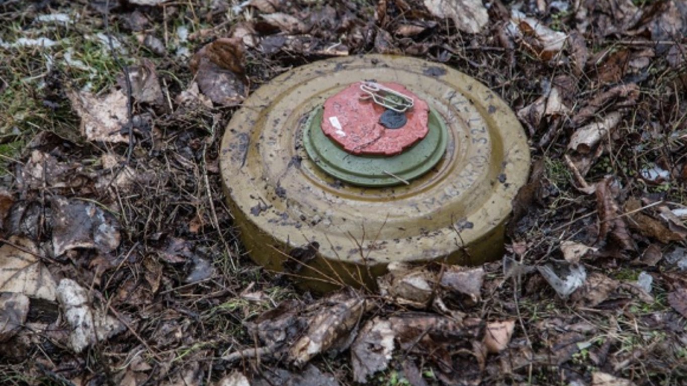 На Волыни возле белорусской границы фура наехала на мину и взорвалась  —подробности страшного ДТП. Читайте на UKR.NET