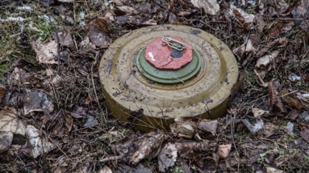 На Волыни возле белорусской границы фура наехала на мину и взорвалась — подробности страшного ДТП - 285x160