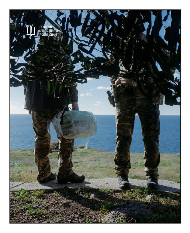 Евакуація котів зі Зміїного розвідниками ГУР