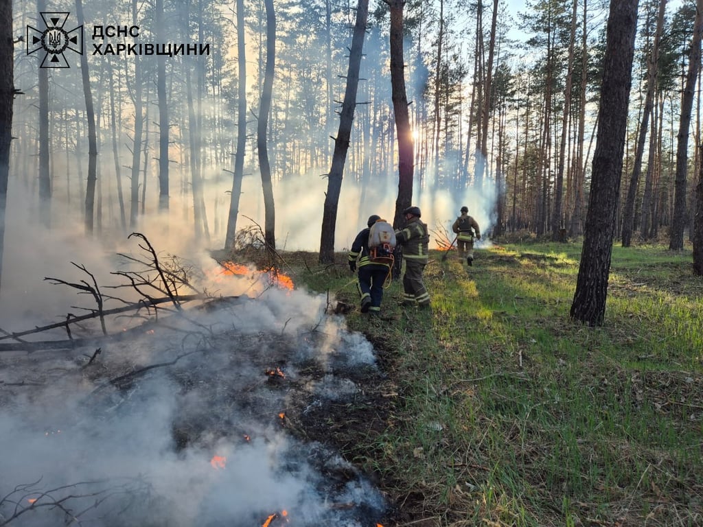 Из-за российских обстрелов горят леса — в ГСЧС показали огненные кадры - фото 2