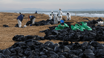 Oil spill in the Kerch Strait kills more than 30 dolphins - 285x160